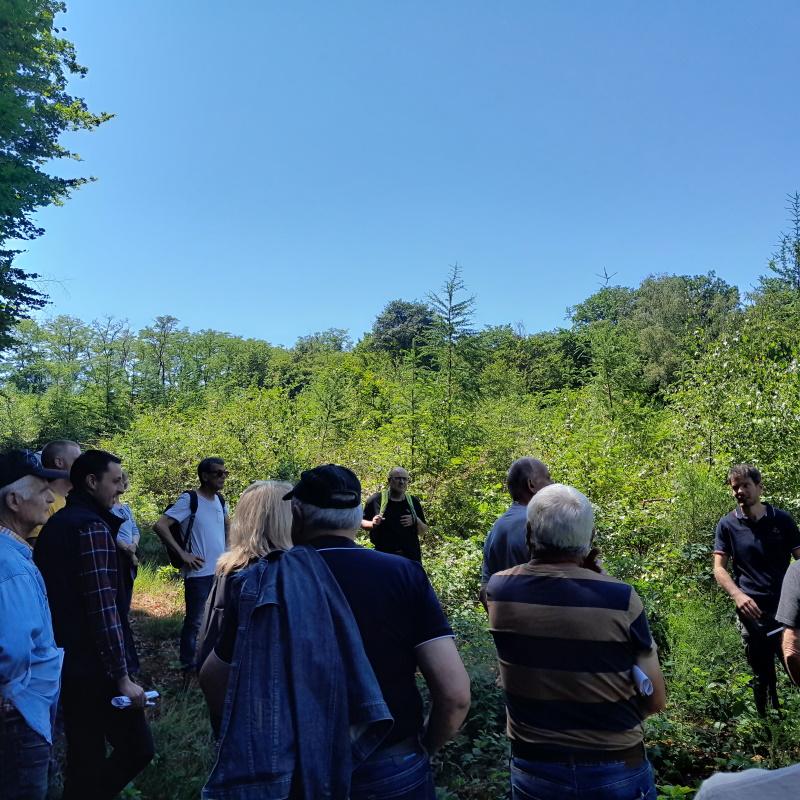 Romain Lachèze du CRPF Bourgogne présente la plantation douglas mélèze