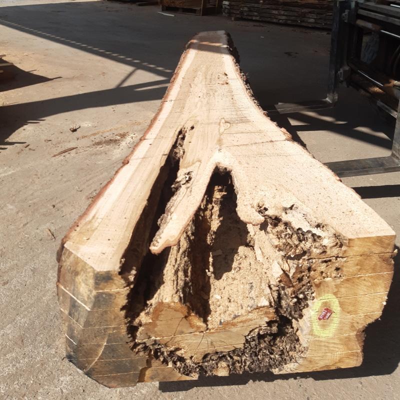 Plateaux chêne foudroyé