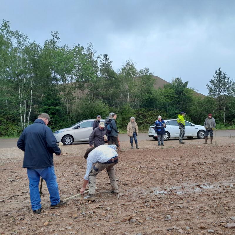 Semis participatif d'acacia - Mise à distance