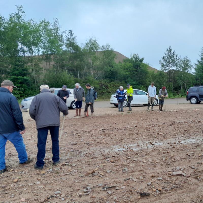 Semis participatif d'acacia
