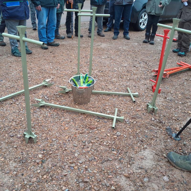 Des cannes à semer du robinier faux acacia