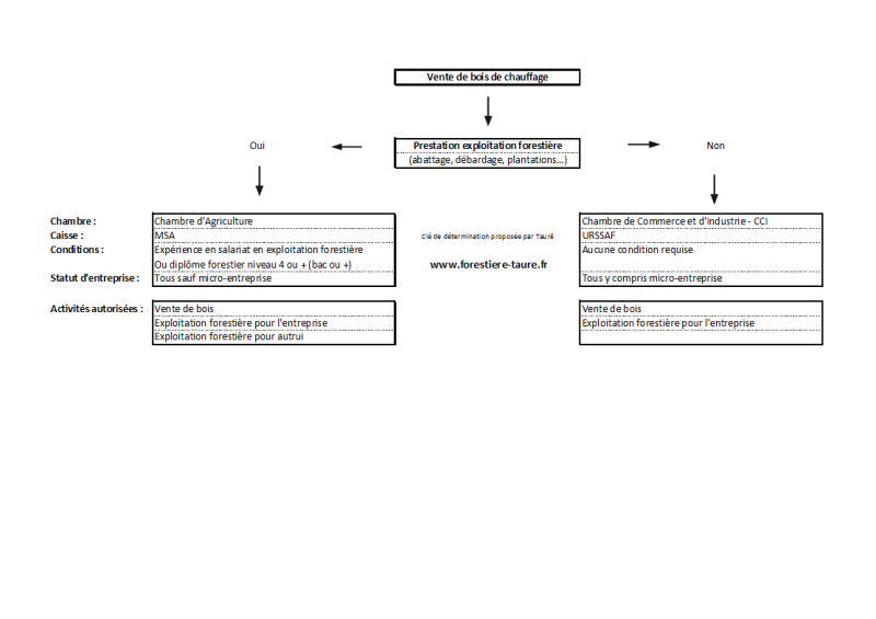 Clé de détermination d'une entreprise forestière