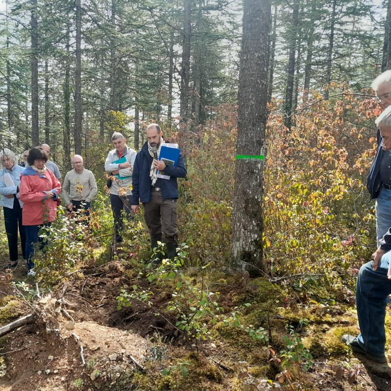 Analyse de sol dans une cèdraie à Dijon