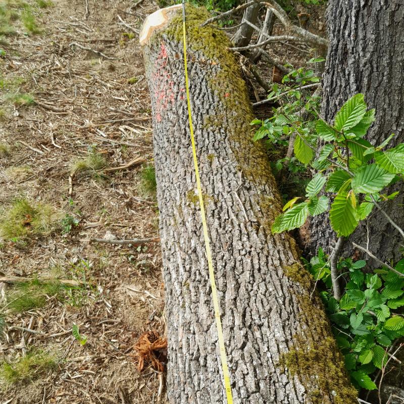 Grume droite de fil qualité menuiserie