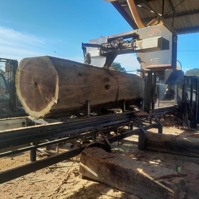 Une grume de sequoia en cours de sciage