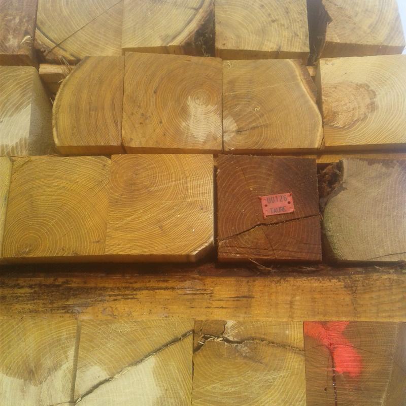 Plaquette de traçabilité sur un acacia