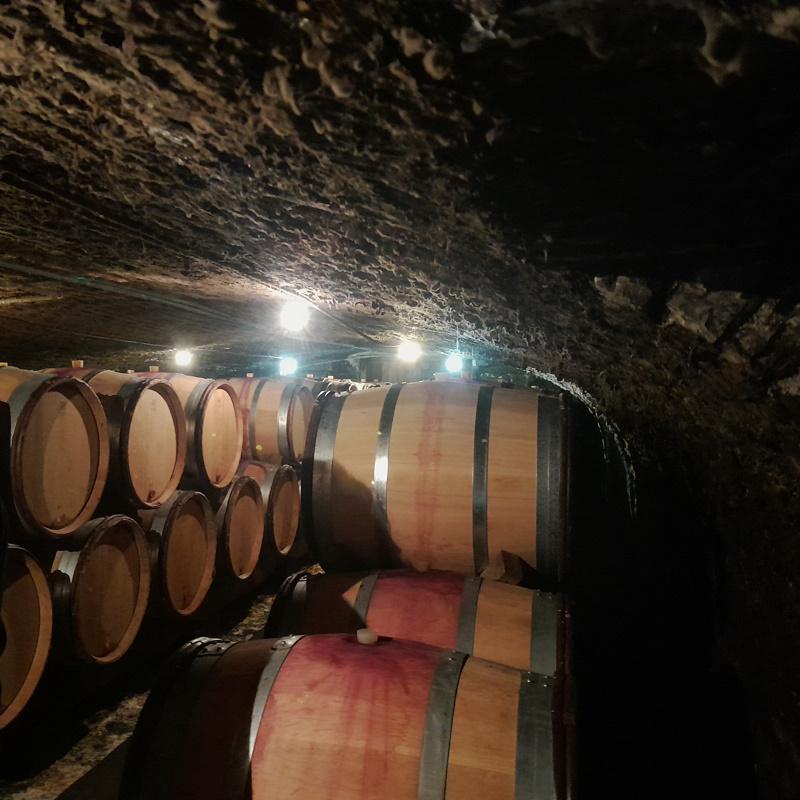 Visite des caves du domaine Theulot-Juillot