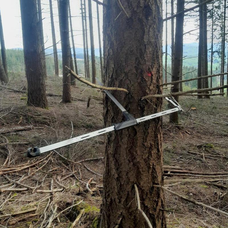 Inventaire de douglas