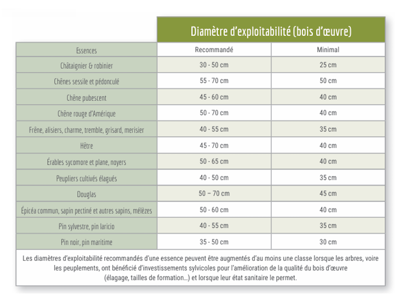 SRGS BFC 2024 - Les diamètres d'exploitabilité