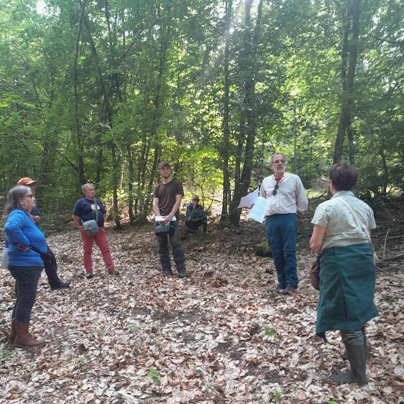 Forêt résiliente - Cloisonnement d'exploitation