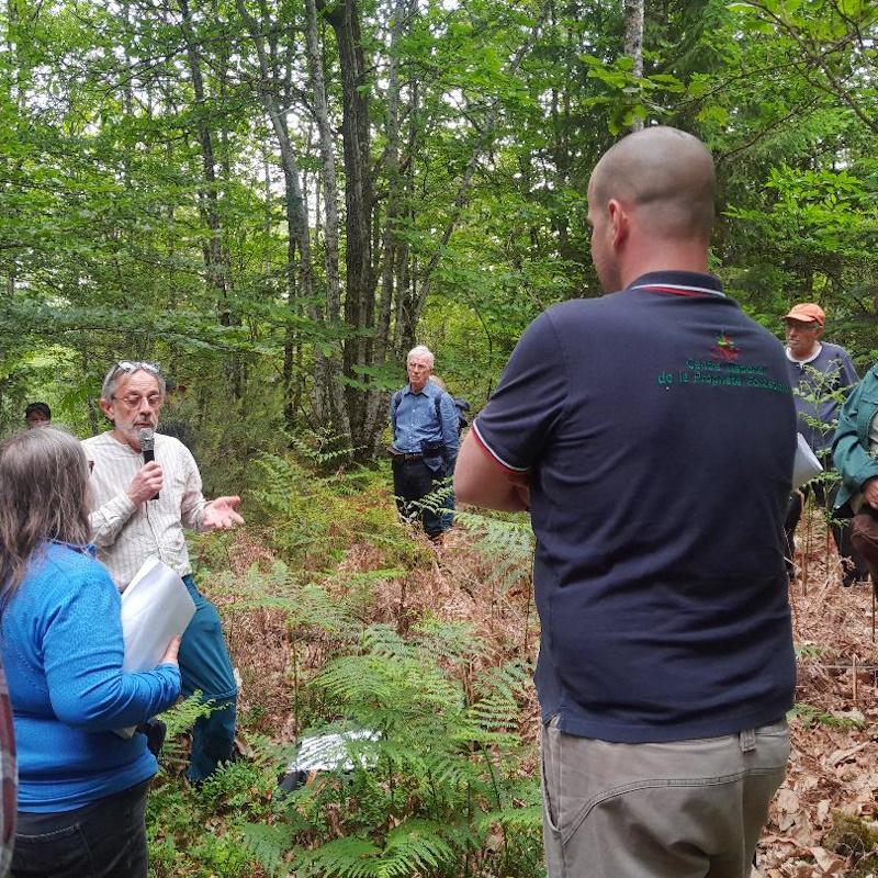 Forêt résiliente - Régénération naturelle