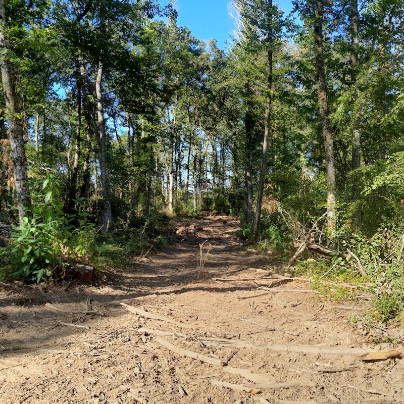 Un cloisonnement d'exploitation forestière après débardage