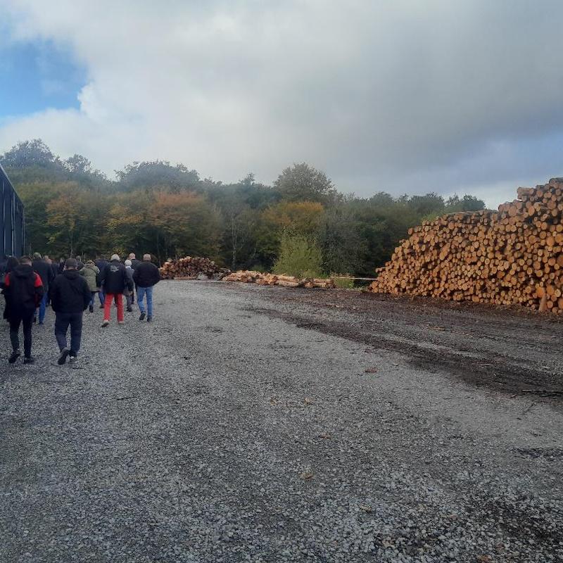Visite du parc à bois de BGI Bourgogne Granulés Industrie