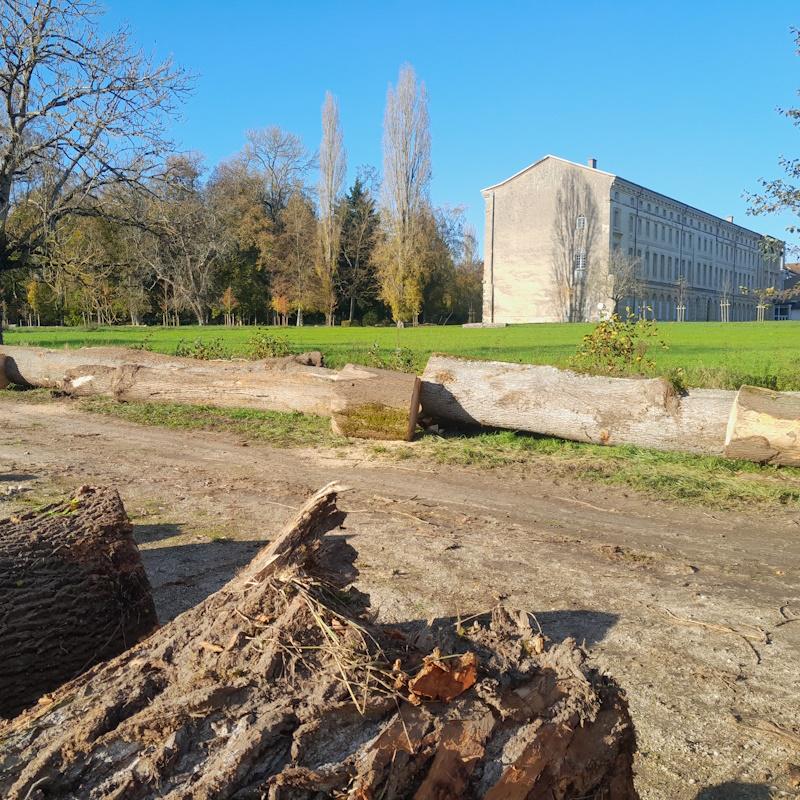 Place de dépôt de l'Abbaye de Citeaux