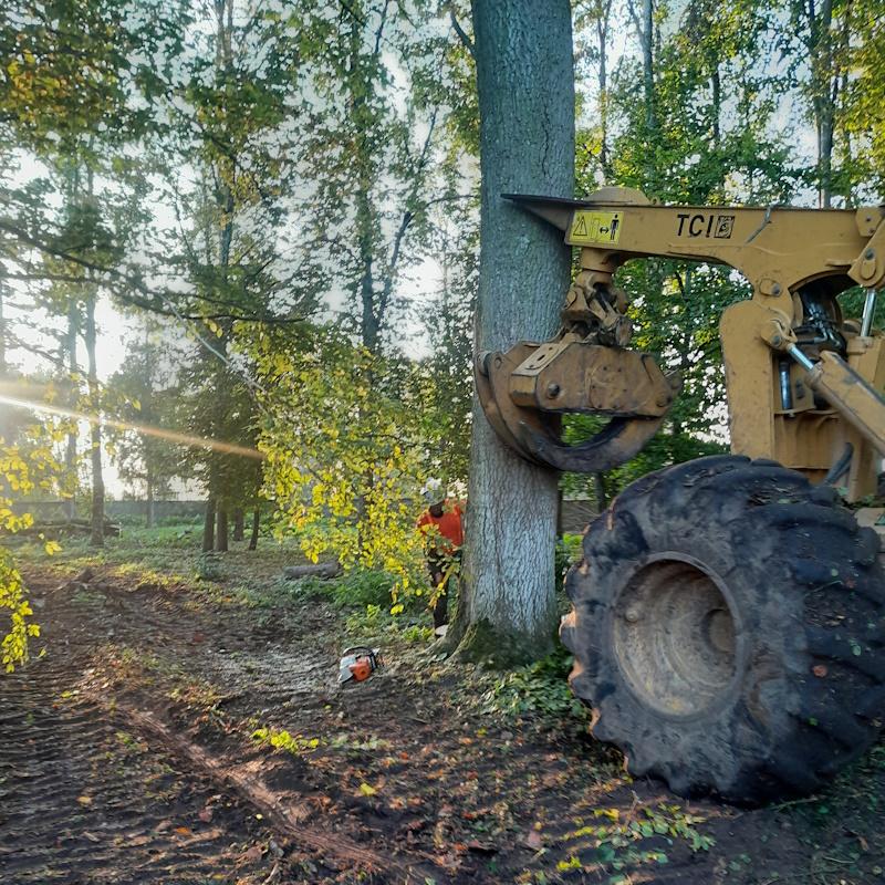 Sécurisation de l'abattage à l'Abbaye de Citeaux