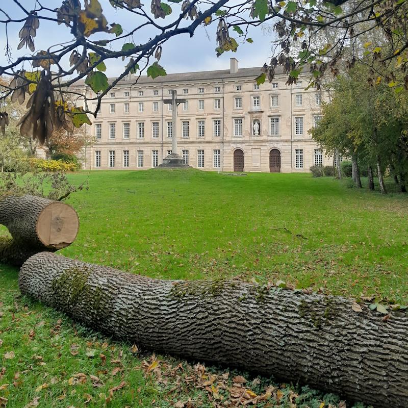 Des arbres exploités au pied des bâtiments de l'Abbaye de Citeaux
