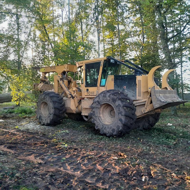 Débardage d'un frêne de l'Abbaye de Citeaux
