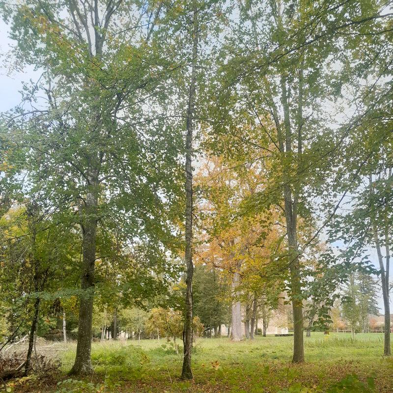 Gestion d'un parc forestier