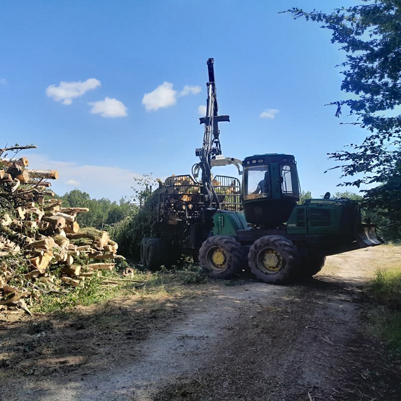 Débardage de bois énergie par temps sec