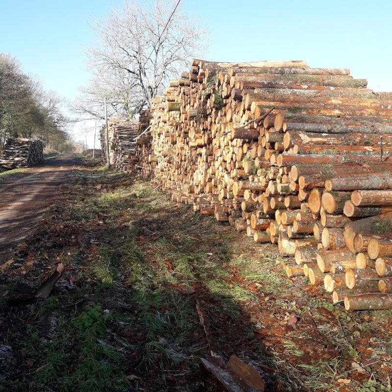 Des bois mis en vente bord de route