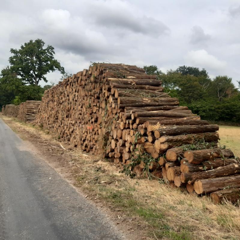 Acacias mis en vente bord de route