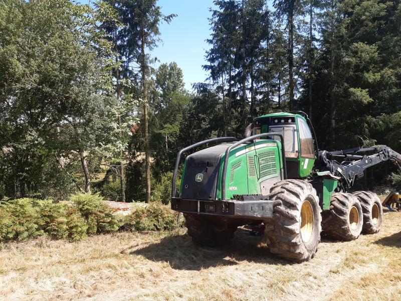 Une abatteuse exploite des douglas