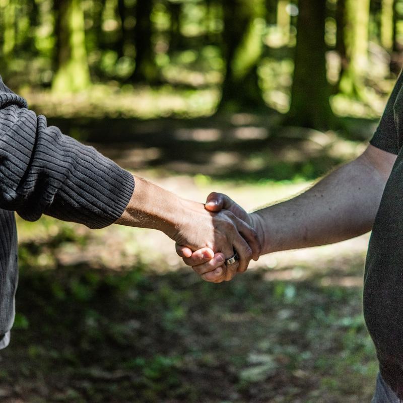Le propiétaire forestier accorde sa confiance à Taurë
