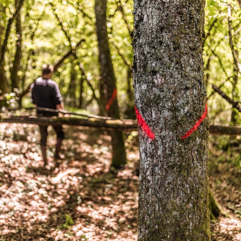 Le marquage de bois de chauffage