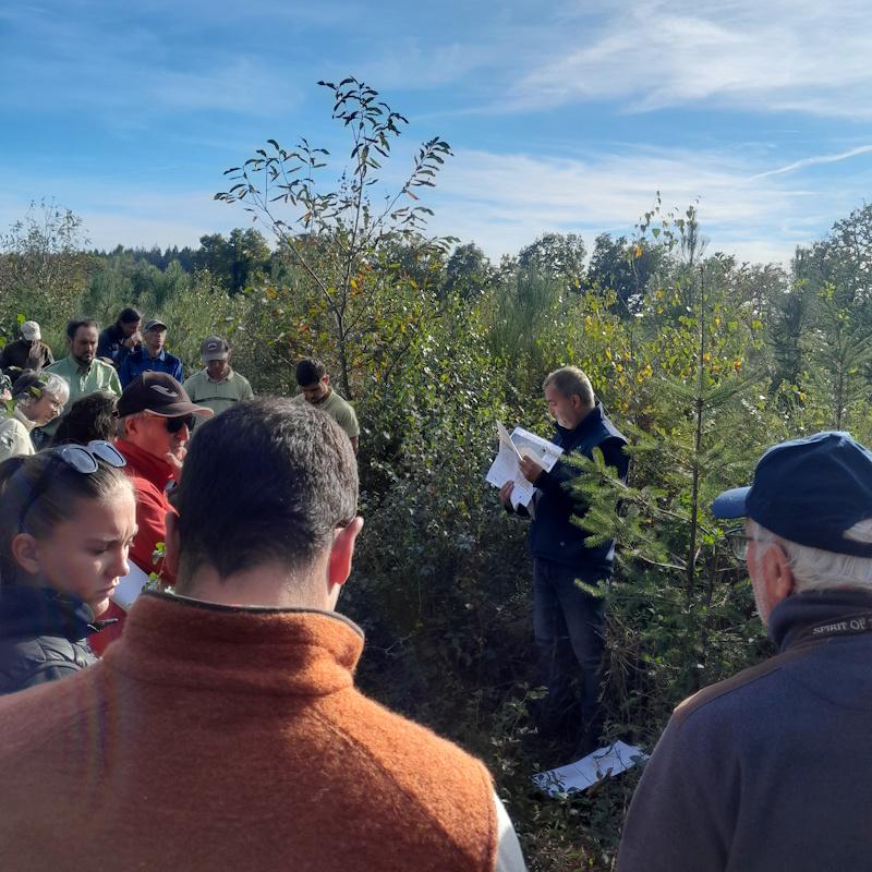 Réunion forestière dans une plantation