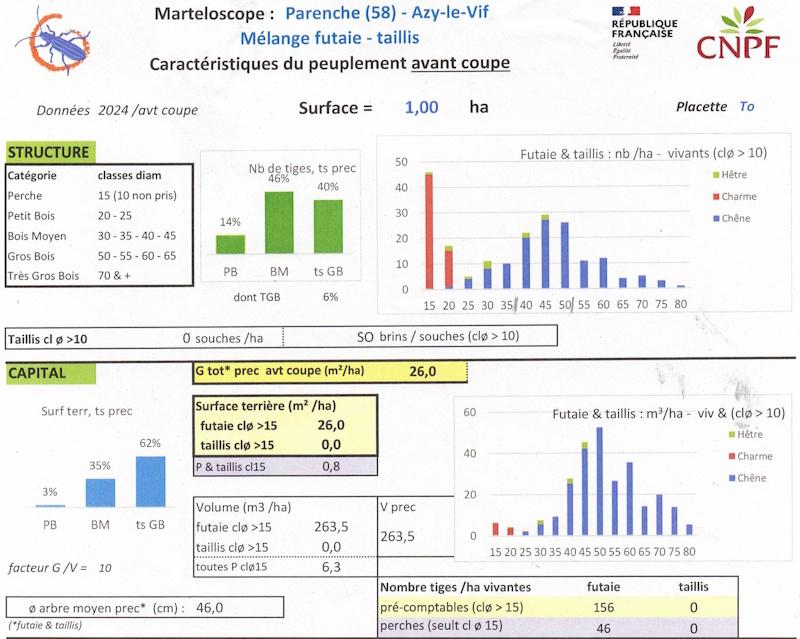 Structure forestière et capital de la parcelle forestière 14