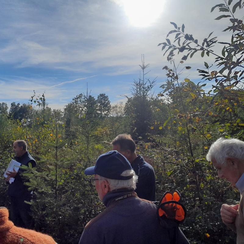 Mélange de 6 essences forestières