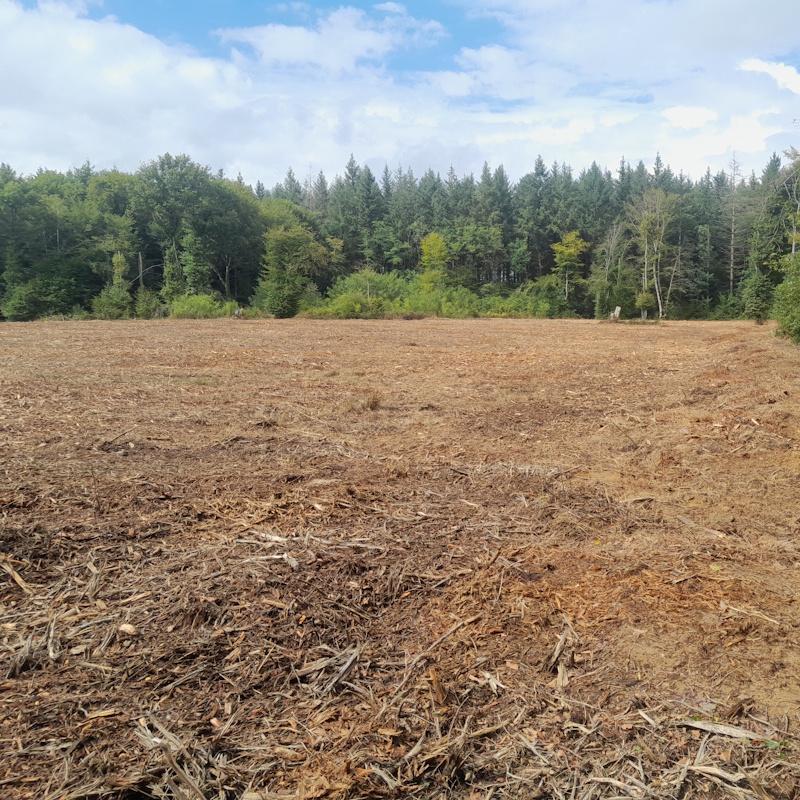 Broyage en plein avant la plantation