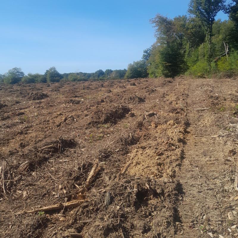 Lignes de potets travaillés