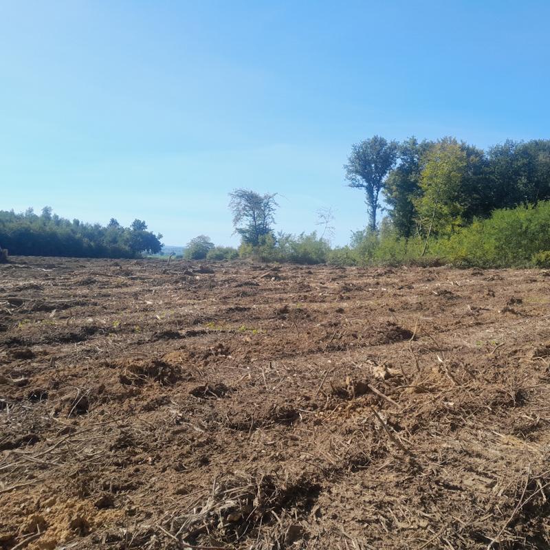 Potets travaillés en ligne