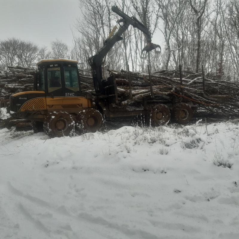 Débardage de bois énergie par porteur