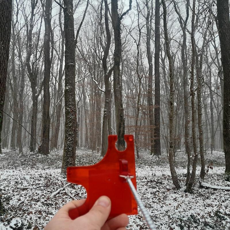 Mesure de surface terrière d'un peuplement de chêne 0.5m2