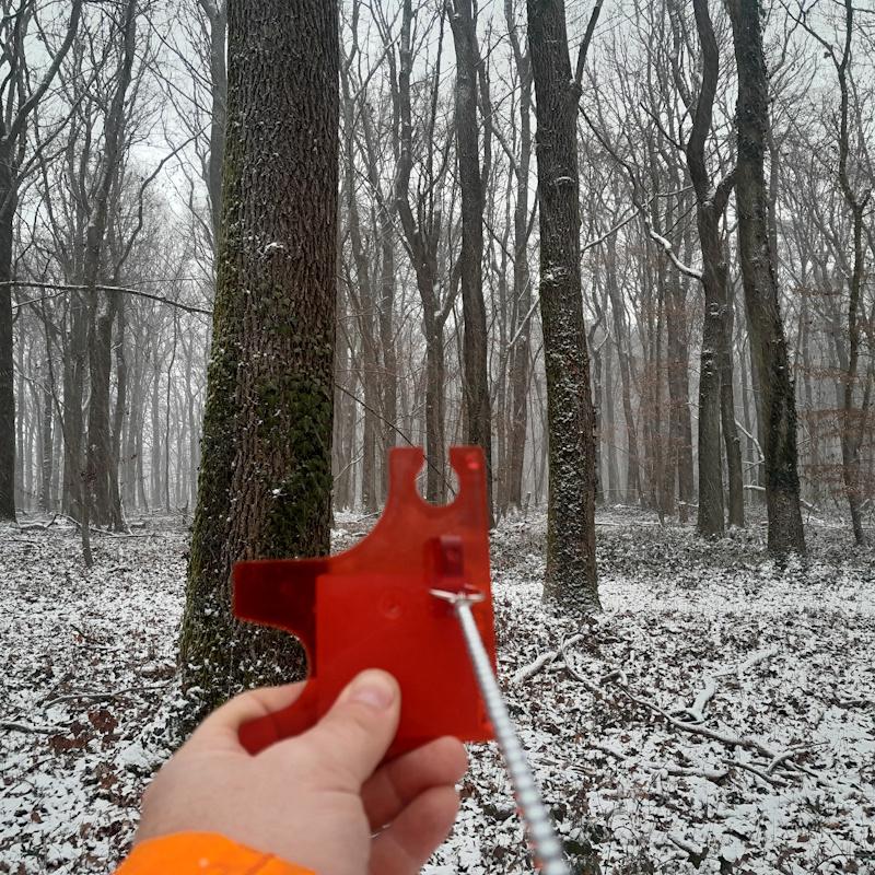 Mesure de surface terrière d'un peuplement de chêne 0m2