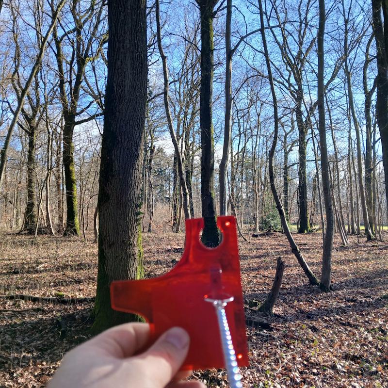 Mesure de surface terrière d'un peuplement de chêne 0.5m2