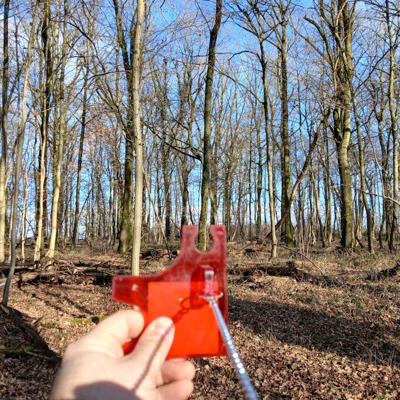 Mesure de surface terrière d'un peuplement de chêne 0m2