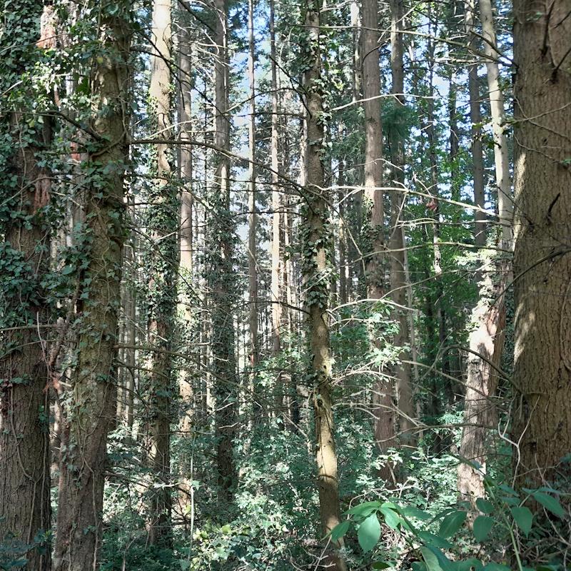 Douglas de 50 ans jamais éclaircis