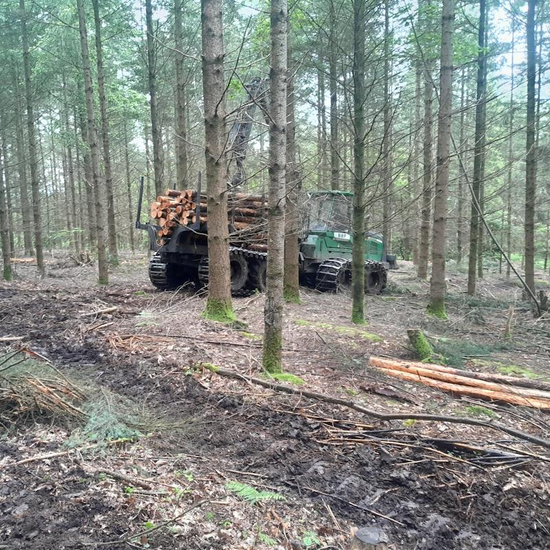 Débardage d'une éclaircie de douglas