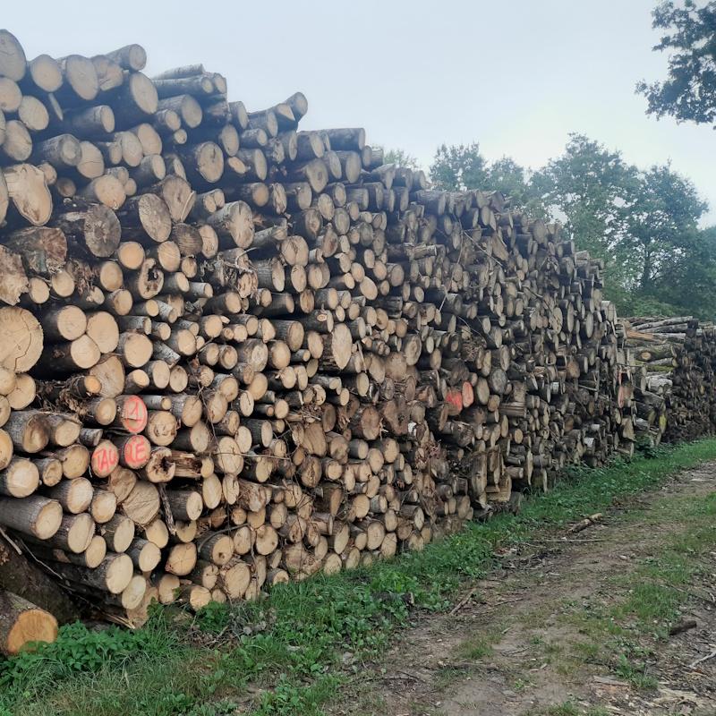Piles de bois de trituration et bois de chauffage