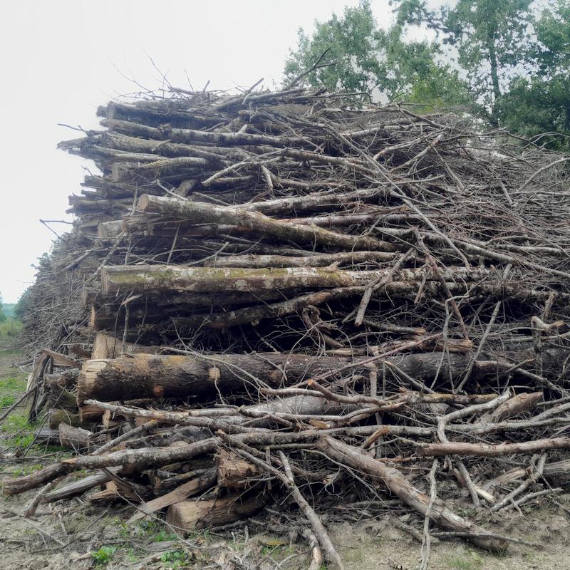 Bois énergie bipmasse bord de route