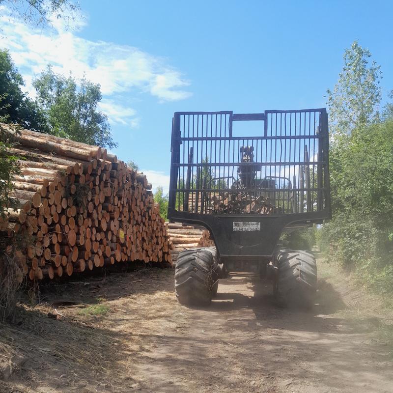 Débardage de bois sur la piste de Montchanin