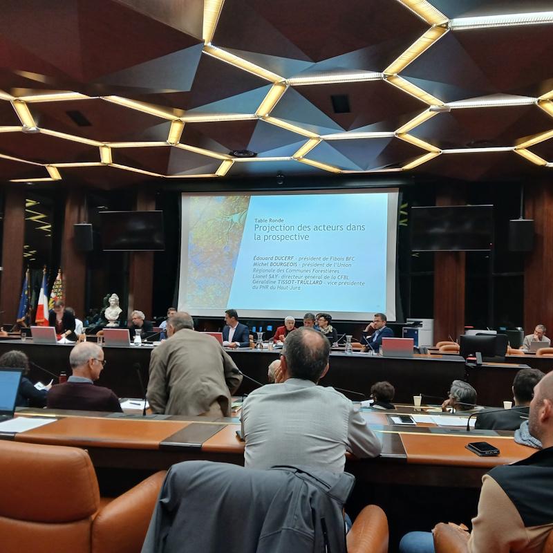 Projection des acteurs de la prospective