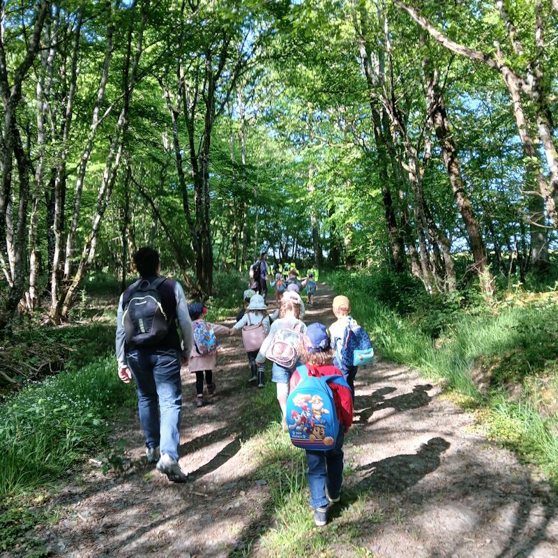 Les écoliers de l'école Robert Gagne des Bizots vont en forêt privée