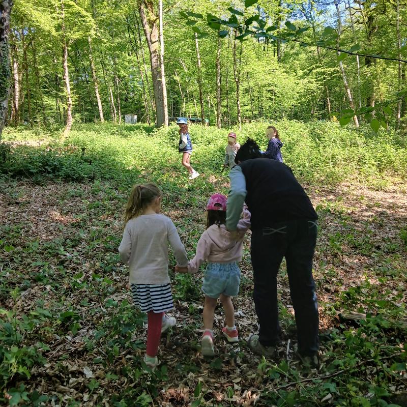 Ecole Robert Gagne des Bizots - Découverte de la biodiversité