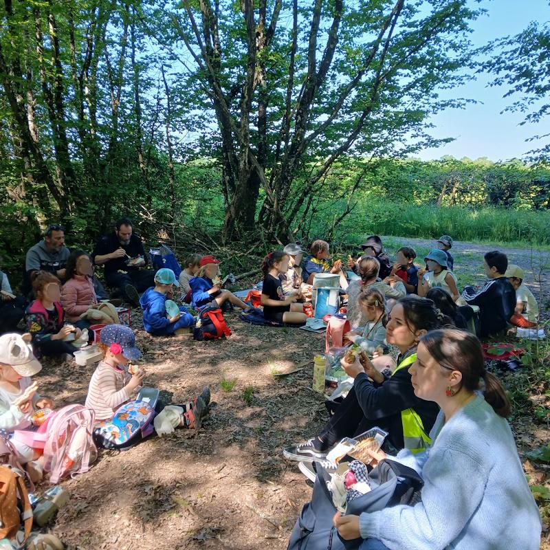 Ecole Robert Gagne des Bizots - Pique nique en forêt