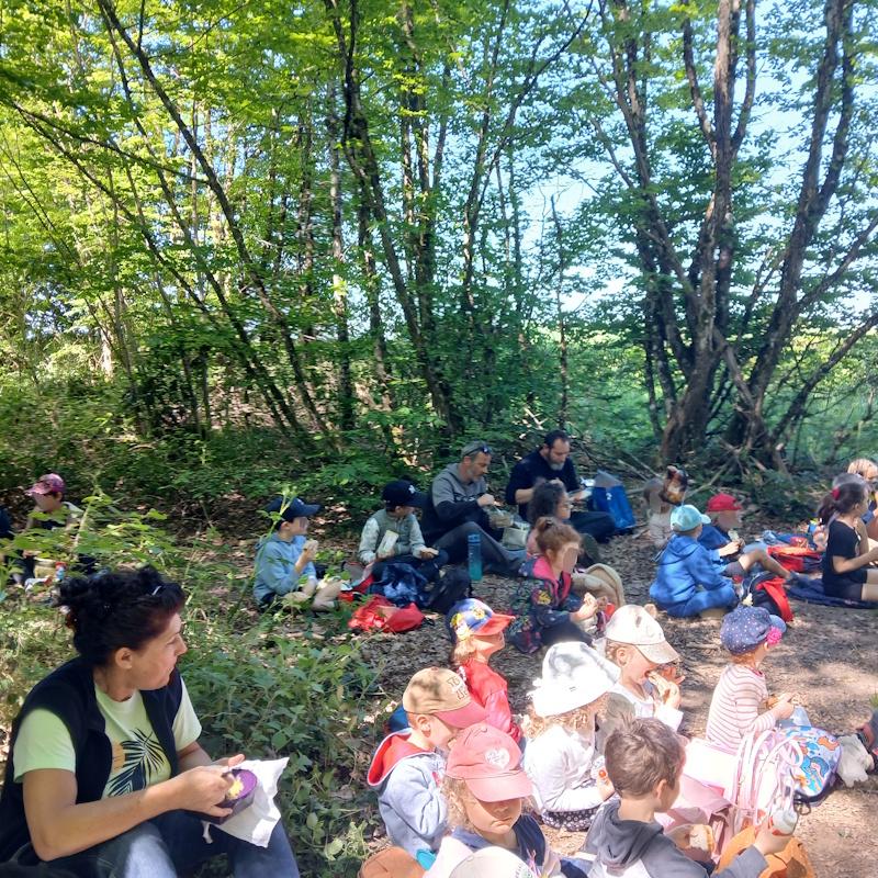 Ecole Robert Gagne des Bizots - Pique nique en forêt