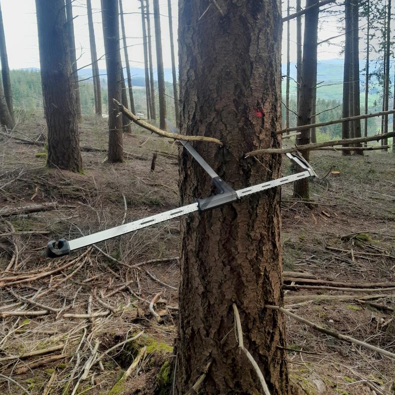 L'inventaire de la forêt de Dompierre les ormes